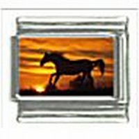 Paard bij Zonsondergang